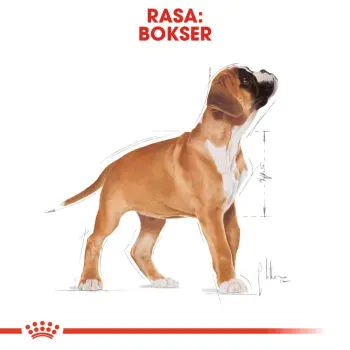 ROYAL CANIN Boxer Puppy 12kg