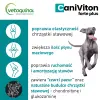 Vetoquinol Caniviton Forte 30 1kg