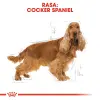 ROYAL CANIN Cocker Spaniel Adult 3kg