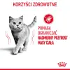 ROYAL CANIN Light Weight Care W Galaretce 12x85g