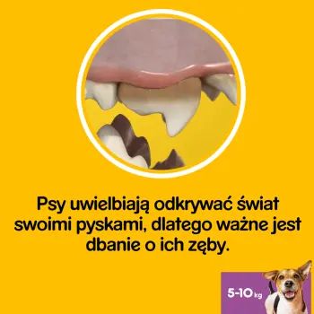 Pedigree DentaStix Przysmak Dentystyczny Dla Psów Od 4 Miesiąca I Wadze 5-10kg 110g