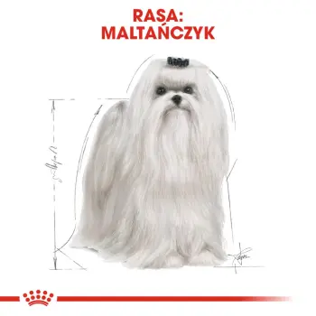 ROYAL CANIN Maltese Adult 500g