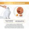 Purina Gourmet Gold Savoury Cake z kurczakiem i marchewką 85g