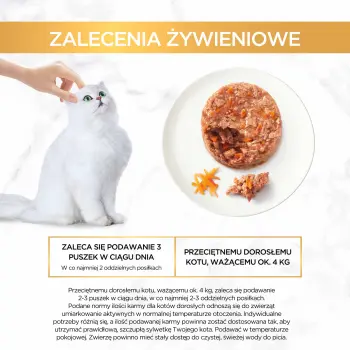 Purina Gourmet Gold Savoury Cake z kurczakiem i marchewką 85g