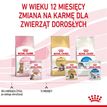 ROYAL CANIN Kitten Sterilised Gelee 12x85g