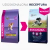 Eukanuba Puppy&Junior Medium Breed 15kg