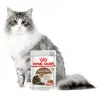 ROYAL CANIN Ageing +12 Sauce 12x85g