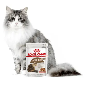 ROYAL CANIN Ageing +12 Sauce 12x85g