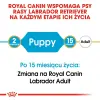 ROYAL CANIN Labrador Retriever Puppy 1kg