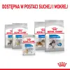 ROYAL CANIN Light Weight Care Pasztet 12x85g