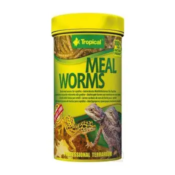 Tropical Meal Worms 100ml