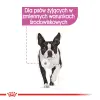 ROYAL CANIN CCN Relax Care Pasztet 12x85g