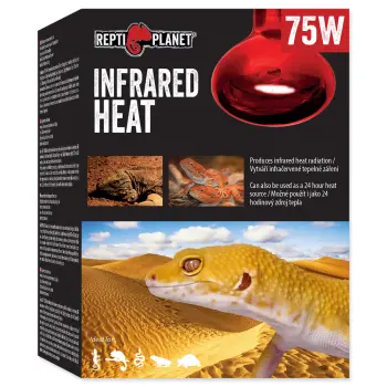 REPTI PLANET Żarówka Infrared HEAT 75W