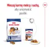 ROYAL CANIN Maxi Adult 4kg