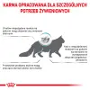 ROYAL CANIN Anallergenic Cat 2kg