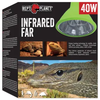 REPTI PLANET Żarówka Far Infrared HEAT 40W