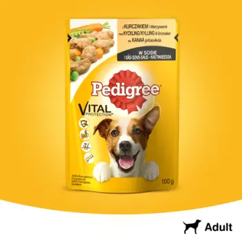 Pedigree Mokra Karma Dla Dorosłych Psów Z Kurczakiem I Warzywami W Sosie 100g