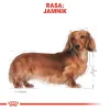 ROYAL CANIN Dachshund 12x85g