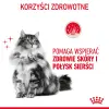 ROYAL CANIN Intense Beauty Gelee 12x85g