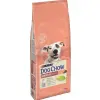 Purina Dog Chow Sensitive Adult Z Łososiem 14kg