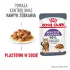 ROYAL CANIN Appetite Control Care W Sosie 12x85g