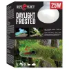 REPTI PLANET Żarówka Daylight Frosted 25W