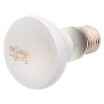 REPTI PLANET Żarówka Daylight Frosted 75W