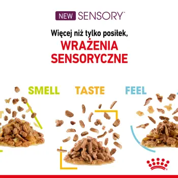 ROYAL CANIN Sensory Taste Kawałki W Sosie 12x85g