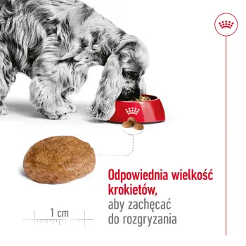 ROYAL CANIN Medium Adult 7+ 15kg