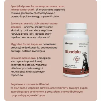 Lab-v Glandala Wsparcie Gruczołów Okołoodbytowych i Przewodu Pokarmowego 45 Kapsułek