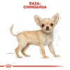 ROYAL CANIN Chihuahua Puppy 500g