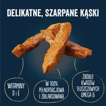 Felix Tasty Shreds Karma Dla Kota Z Łososiem I Tuńczykiem W Sosie 4x80g