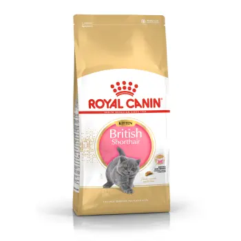 ROYAL CANIN British Shorthair Kitten 10kg