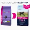 Eukanuba Puppy&Junior Large Breed 15kg