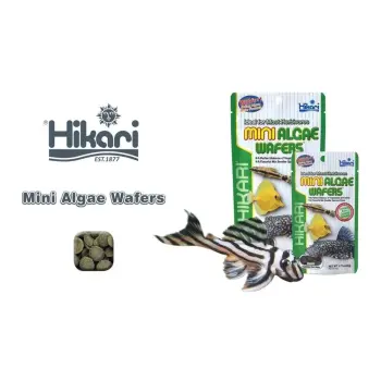 HIKARI Tropoical Mini Algae Wafers 1kg