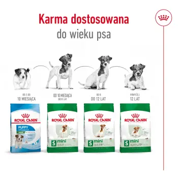 ROYAL CANIN Mini Adult 2kg