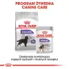 ROYAL CANIN CCN Maxi Sterilised 3kg