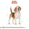 ROYAL CANIN Beagle Adult 3kg