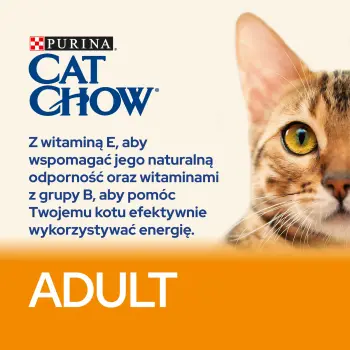 Purina Cat Chow Adult Chicken And Rice 15kg