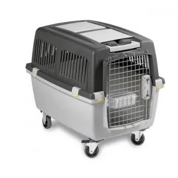 Zolux Transporter Gulliver 4 IATA 51x71x50cm