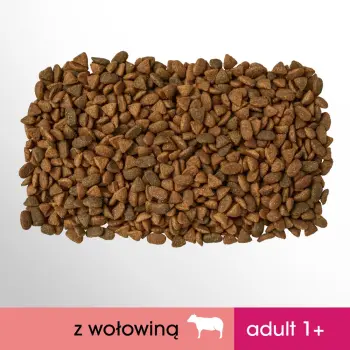 PERFECT FIT Adult 1+ Z Wołowiną 750g