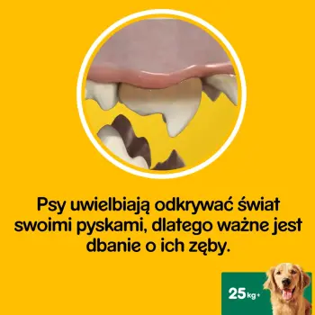 CC PEDIGREE DentaStix (duże rasy) przysmak dentystyczny dla psów 7 szt. - 270g