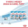 ROYAL CANIN Starter Mousse Mother & Babydog 195g