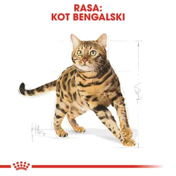 ROYAL CANIN Bengal Adult 400g