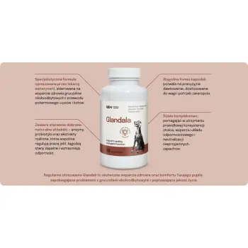 Lab-v Glandala Wsparcie Gruczołów Okołoodbytowych i Przewodu Pokarmowego 90 Kapsułek