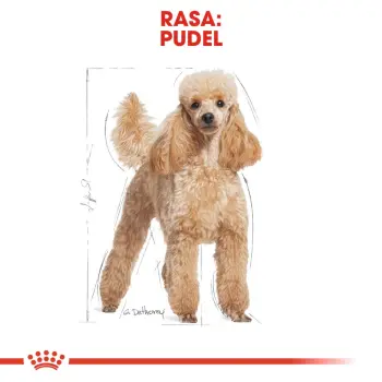 ROYAL CANIN Poodle Adult 500g