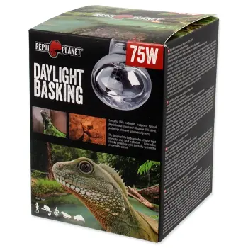 REPTI PLANET Żarówka Daylight Basking Spot 75W