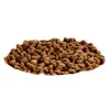 Hill's SP Science Plan Feline Kitten Kurczak 3kg