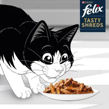 Felix Tasty Shreds Mokra Karma Dla Kota Z Kaczką I Indykiem W Sosie 4x80g