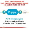 ROYAL CANIN Cavalier King Charles Spaniel Puppy 1,5kg